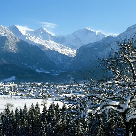 Jungfrau Hotel Wilderswil Exterior foto